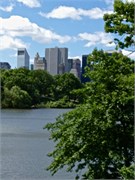 NewYork 52